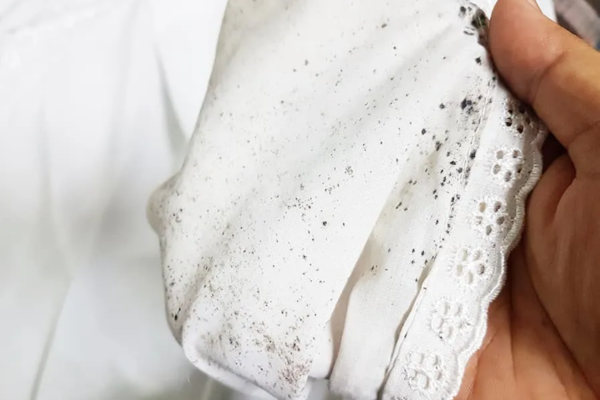 Como tirar mofo de roupa